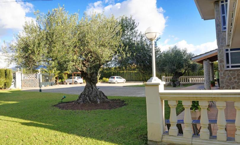 Villa Velo Marratxí Εξωτερικό φωτογραφία
